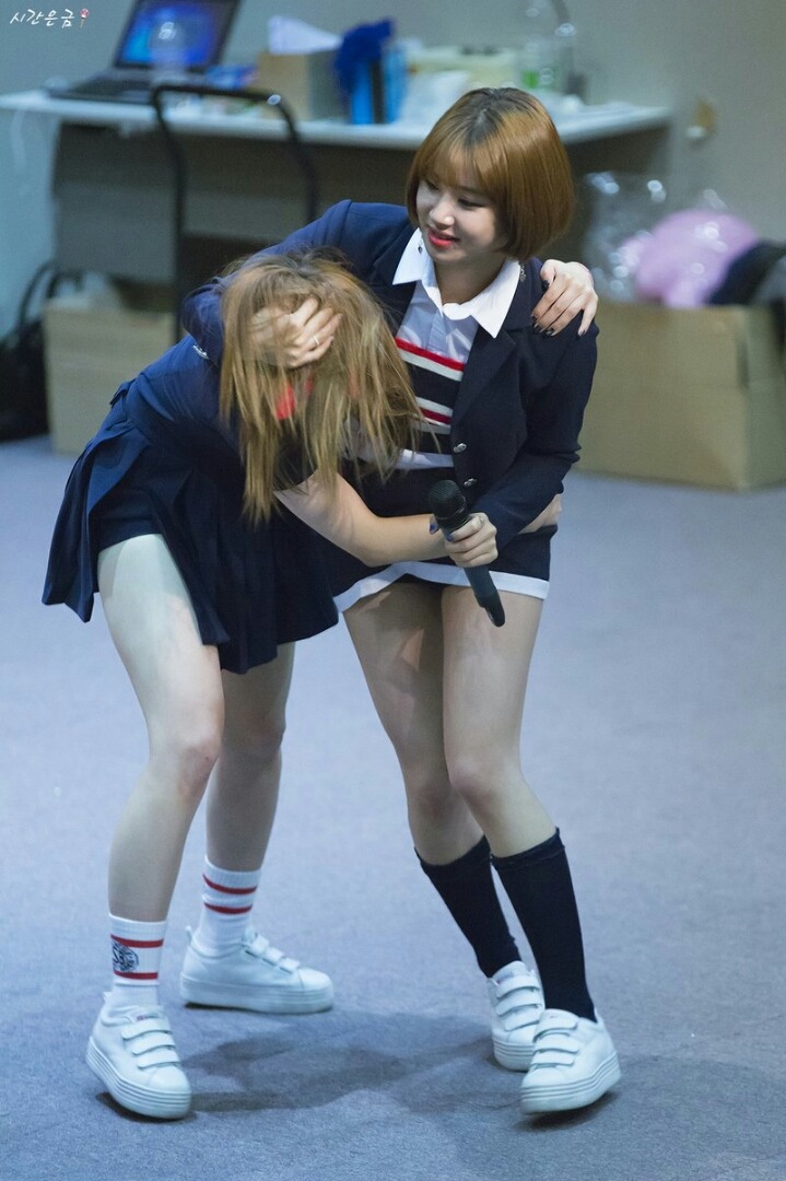 사나 터는 채영이 | 인스티즈