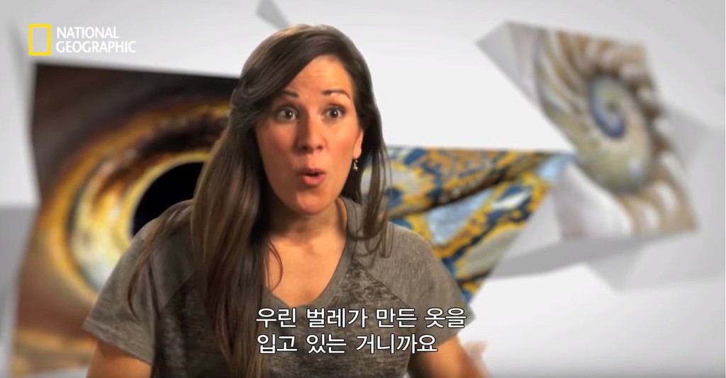 우리가 흔히 먹는 번데기의 삶 | 인스티즈