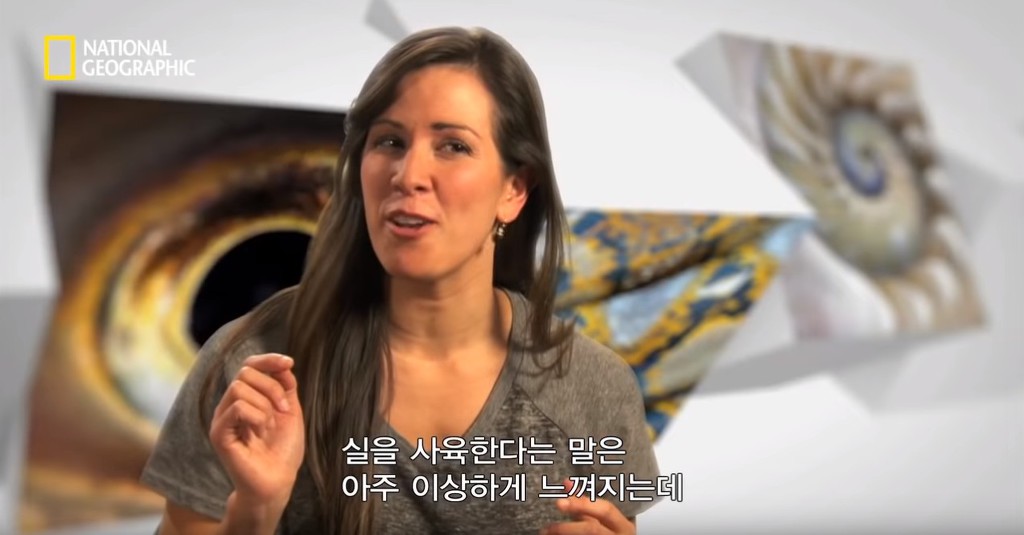 우리가 흔히 먹는 번데기의 삶 | 인스티즈