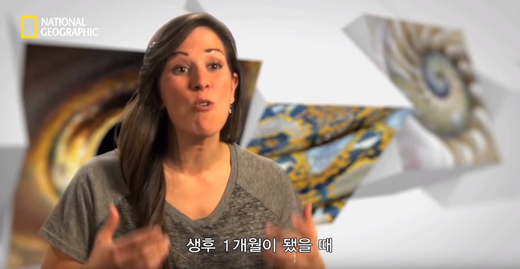 우리가 흔히 먹는 번데기의 삶 | 인스티즈