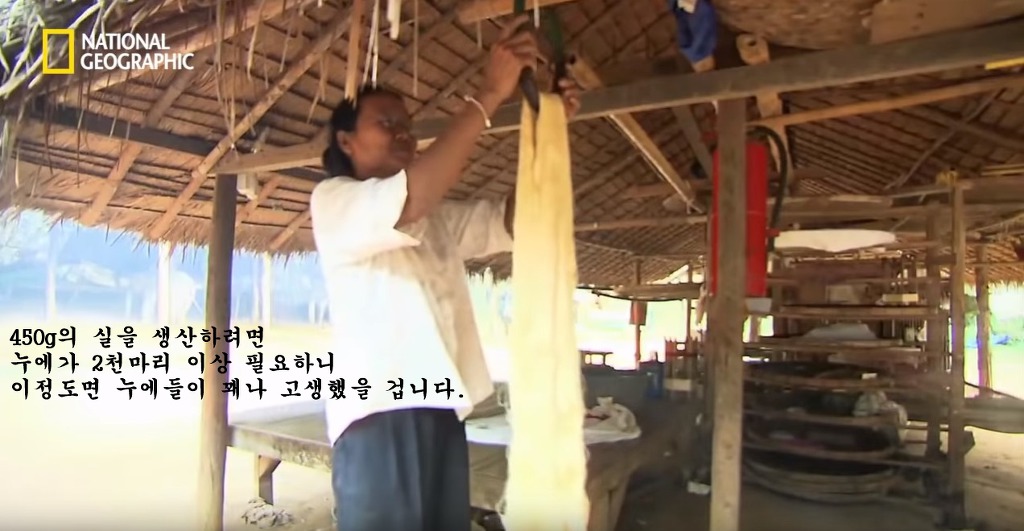 우리가 흔히 먹는 번데기의 삶 | 인스티즈