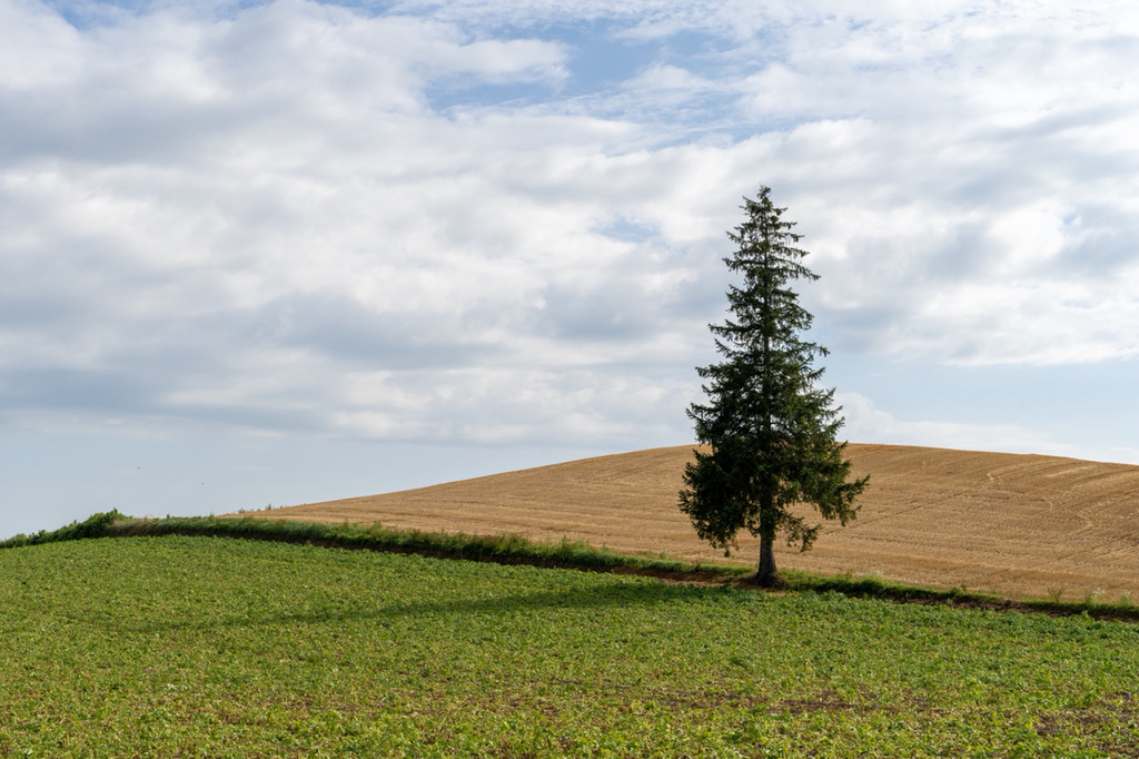 여름 휴가로 갔다온 북해도 사진 | 인스티즈