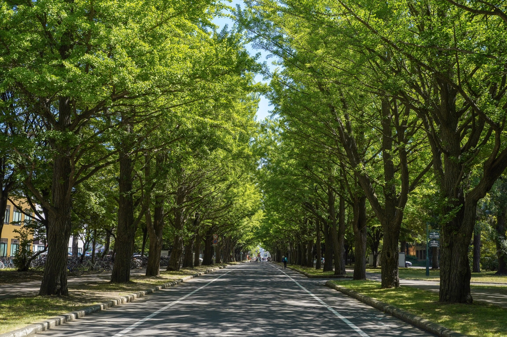 여름 휴가로 갔다온 북해도 사진 | 인스티즈