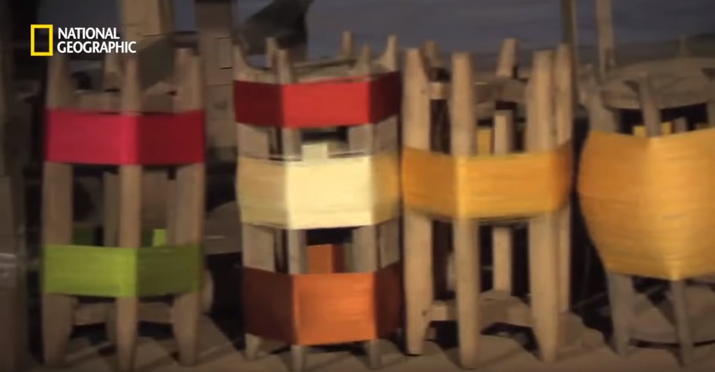 우리가 흔히 먹는 번데기의 삶 | 인스티즈