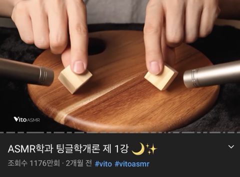 MBTI별 좋아하는 유튜브 재질 | 인스티즈
