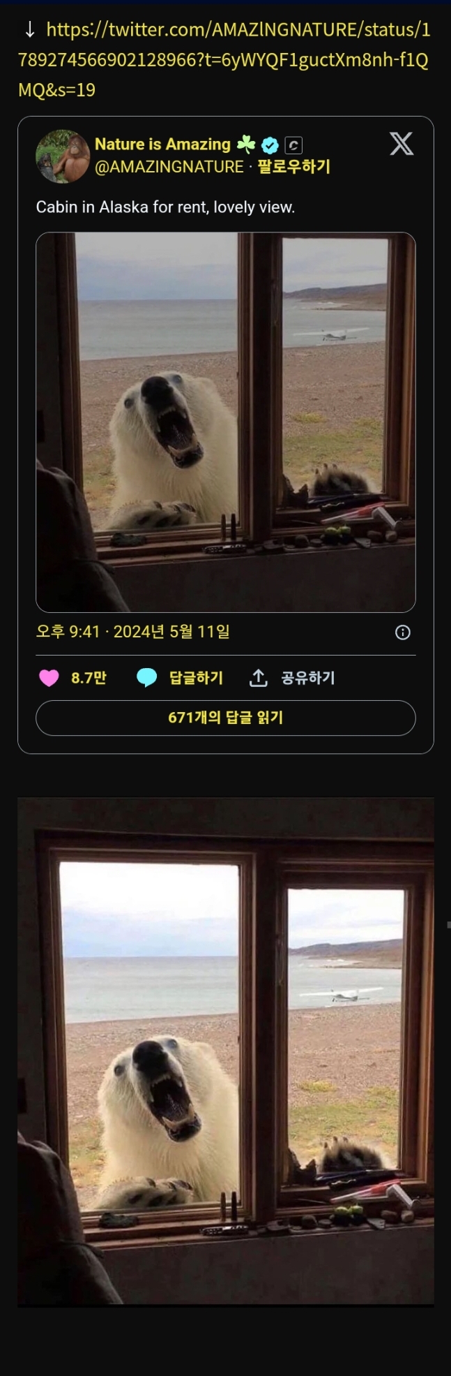 알래스카 1박 후기 | 인스티즈