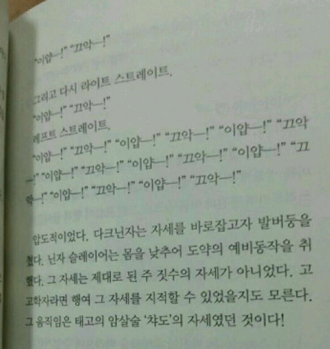 라노벨 최고의 전투묘사 | 인스티즈