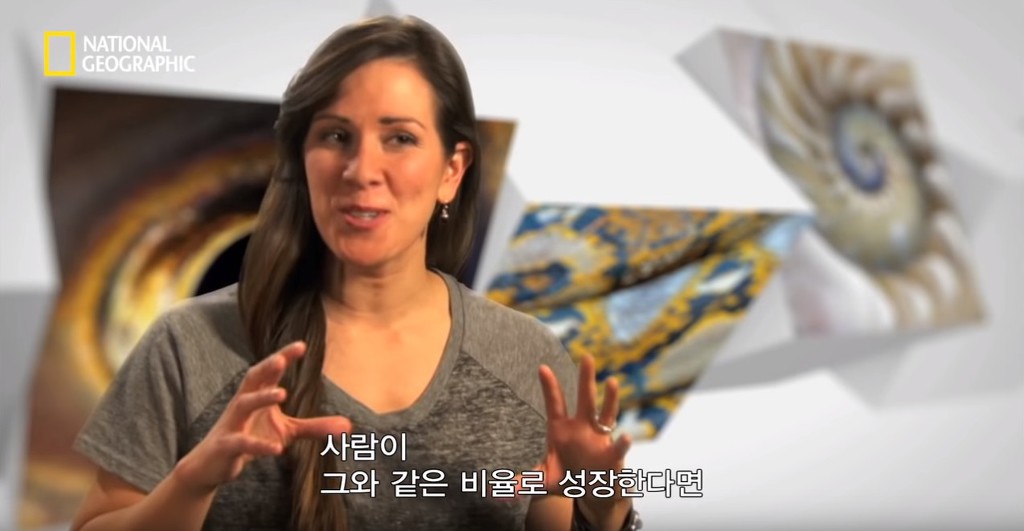 우리가 흔히 먹는 번데기의 삶 | 인스티즈