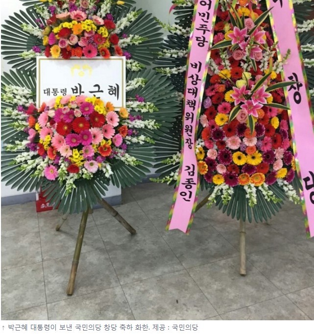김종인 생일축하 난(蘭) 거부한 朴대통령, 국민의당에 화환 보내 | 인스티즈