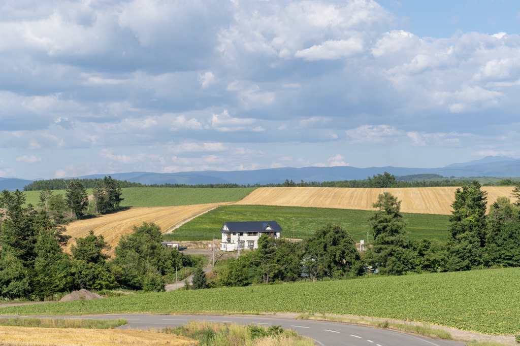 여름 휴가로 갔다온 북해도 사진 | 인스티즈