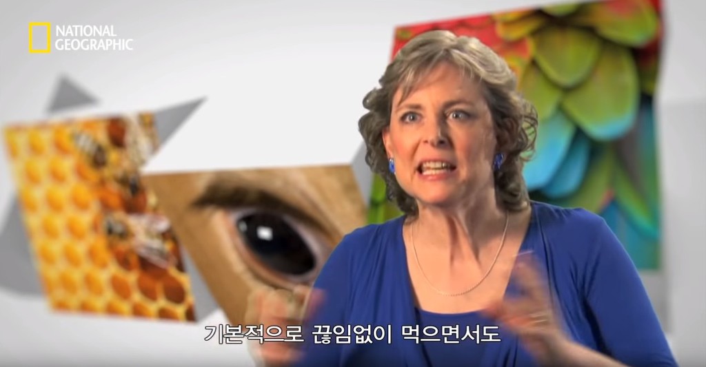 우리가 흔히 먹는 번데기의 삶 | 인스티즈
