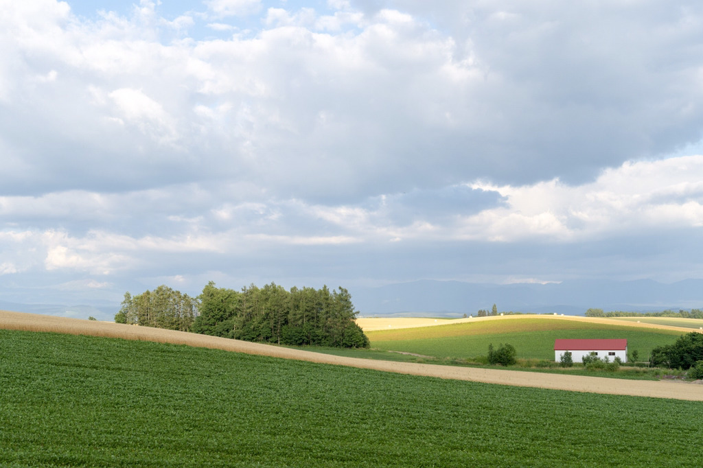 여름 휴가로 갔다온 북해도 사진 | 인스티즈