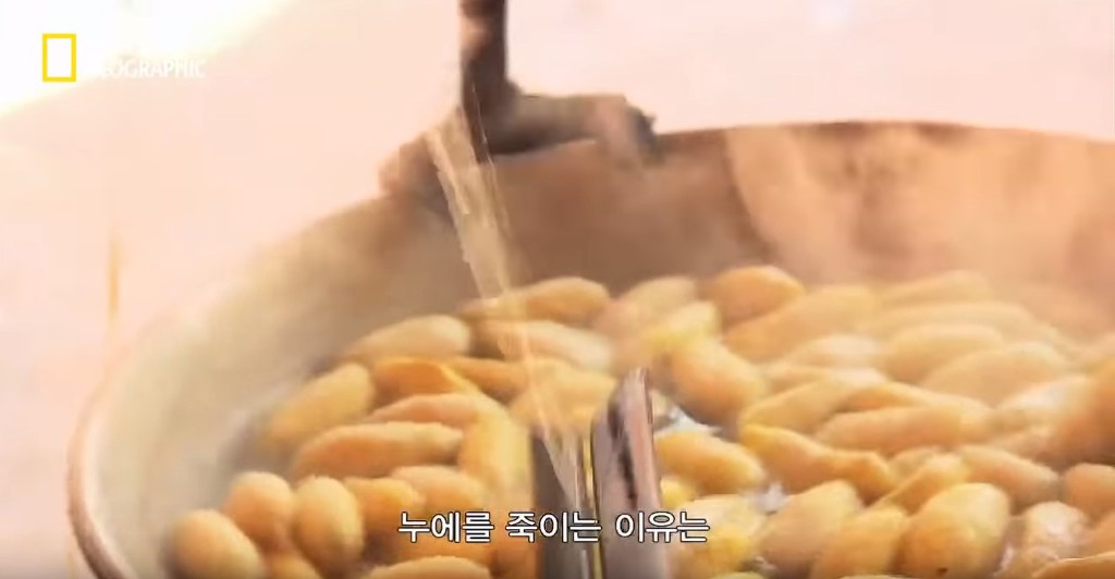 우리가 흔히 먹는 번데기의 삶 | 인스티즈
