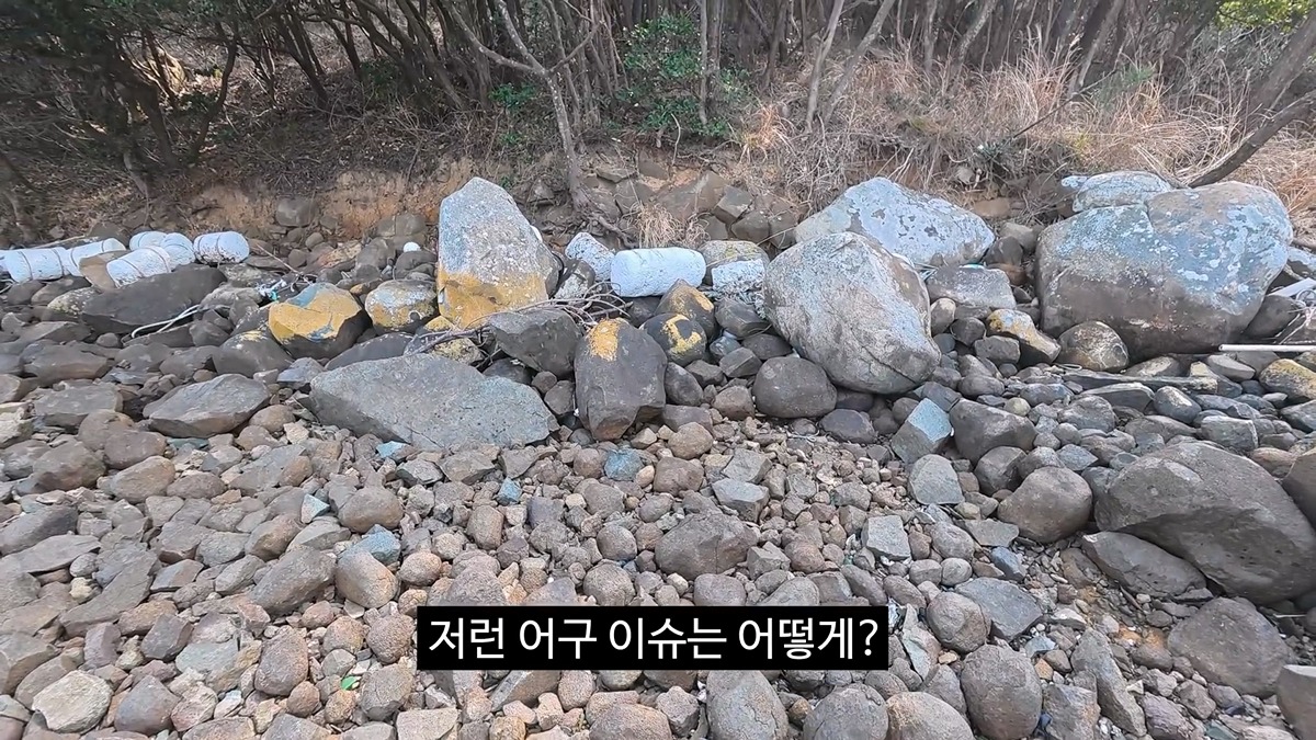 공무원들이 당근을 흔든것 같다는 이번 김선태 여수 섬박람회 홍보영상 | 인스티즈