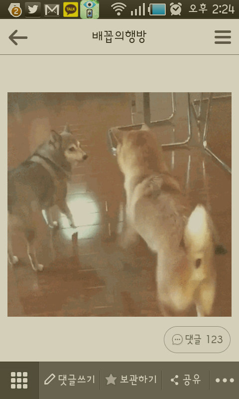 강아지 안키우는 사람들이 강아지 똥꼬에 대해 하는 오해 | 인스티즈