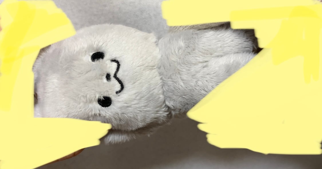 소중한 당신의 인형 방치되고 있지 않습니까?🥸 본격 아이돌 인형 기초 미용법 (경락 / 털 자르기 / 빗질) | 인스티즈