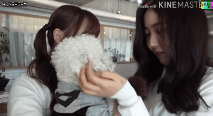 여자친구 예린의 나쁜 손 모음.gif | 인스티즈