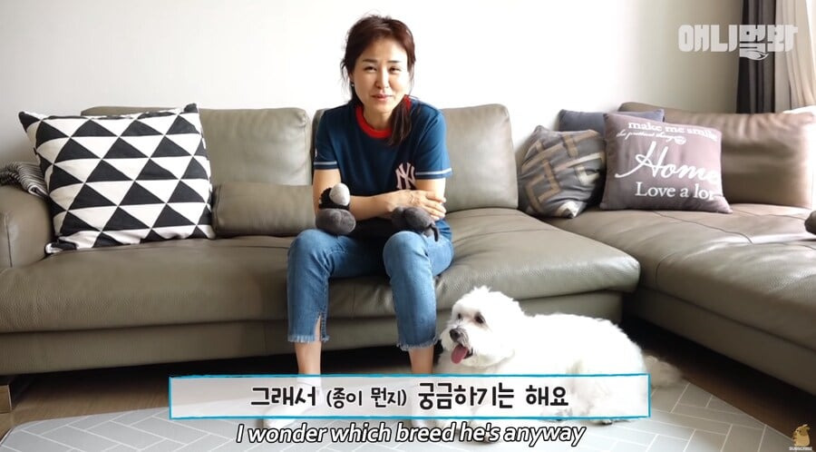 개크니까 개귀여운 말티즈.jpg | 인스티즈