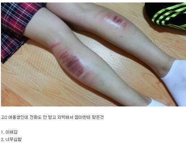 몰래 외박하고 회초리 맞았다는 고2 여동생 이야기는 주작 | 인스티즈