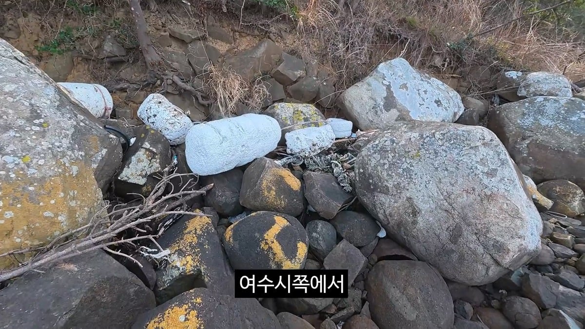 공무원들이 당근을 흔든것 같다는 이번 김선태 여수 섬박람회 홍보영상 | 인스티즈