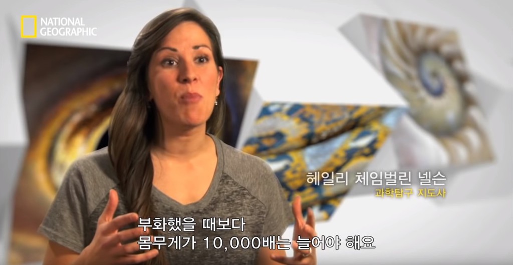 우리가 흔히 먹는 번데기의 삶 | 인스티즈