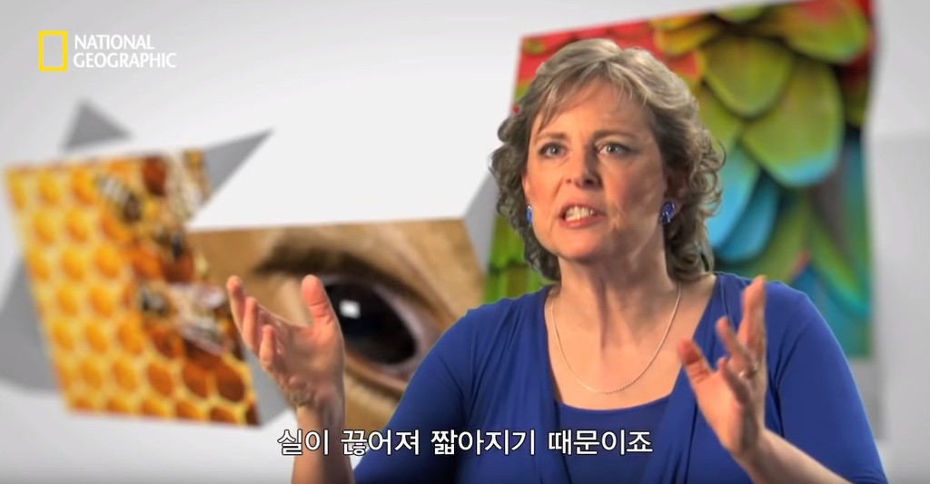 우리가 흔히 먹는 번데기의 삶 | 인스티즈