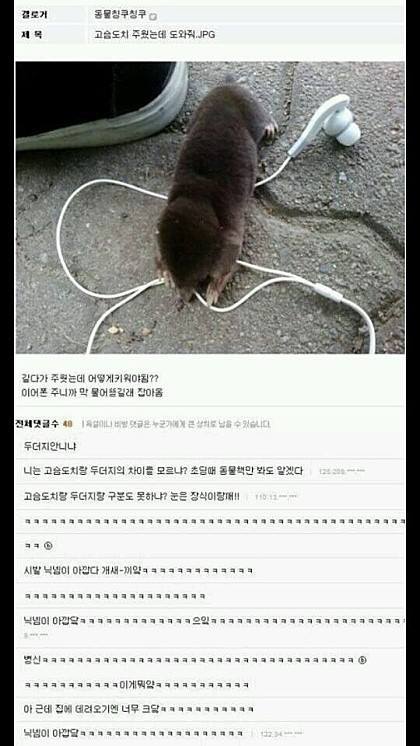 내 웃음 모음 4 | 인스티즈
