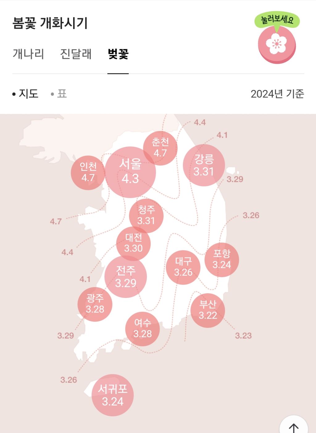 전국 벚꽃 현황 달글 | 인스티즈