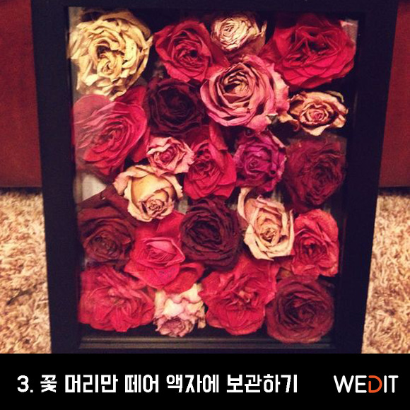 부케 받는 사람들이 봐두면 좋은 정보! | 인스티즈