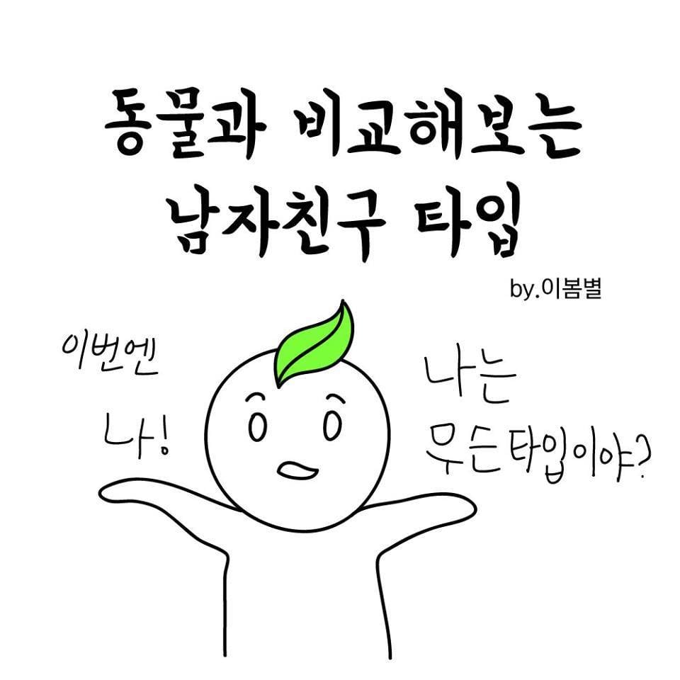 동물과 비교해 보는 남자친구 타입 | 인스티즈