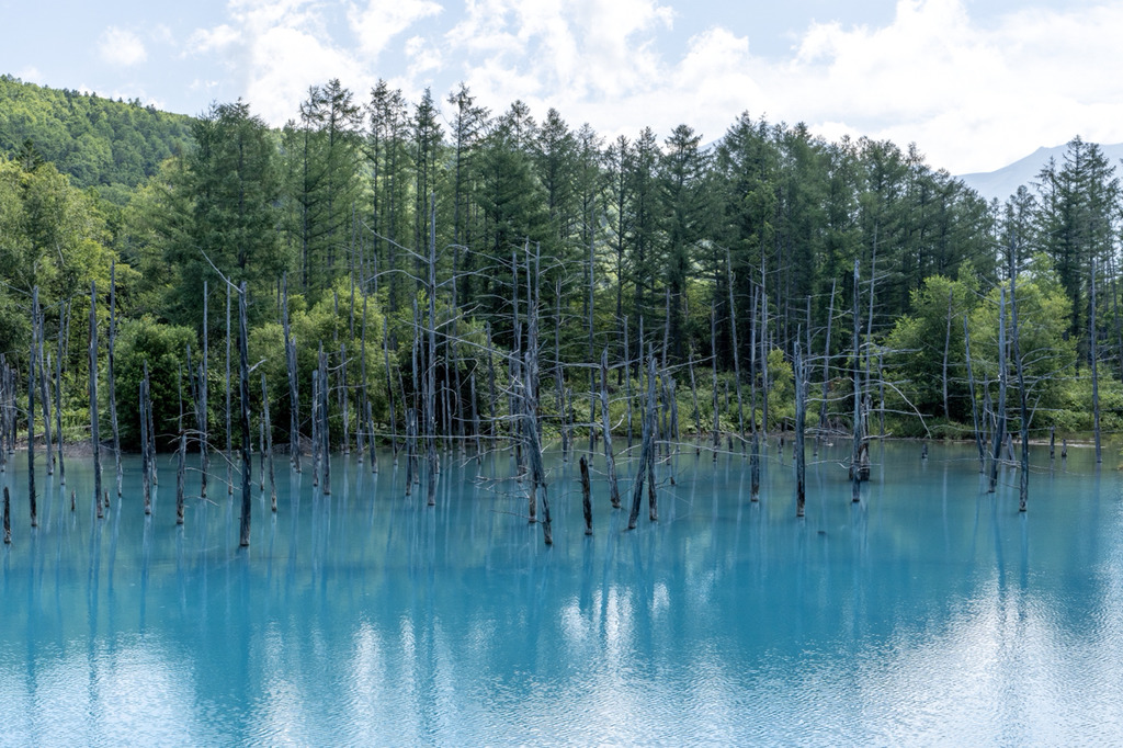 여름 휴가로 갔다온 북해도 사진 | 인스티즈