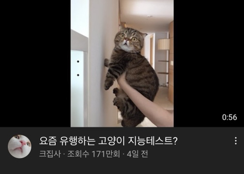 MBTI별 좋아하는 유튜브 재질 | 인스티즈