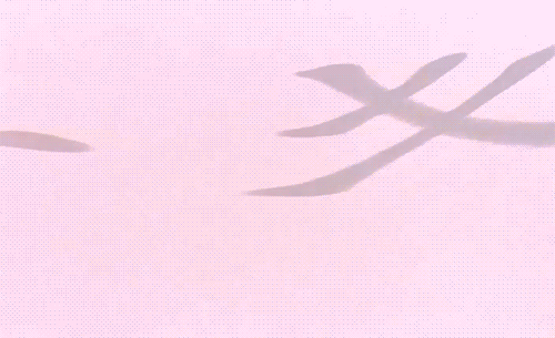 이거 모두 같은 사람이 만든거임 | 인스티즈