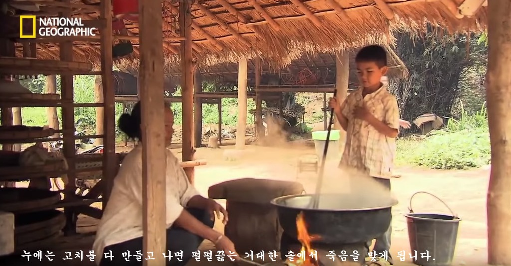 우리가 흔히 먹는 번데기의 삶 | 인스티즈