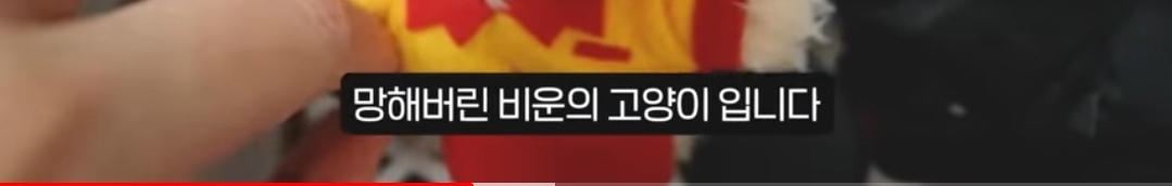 망한 문구사장 브이로그 | 인스티즈