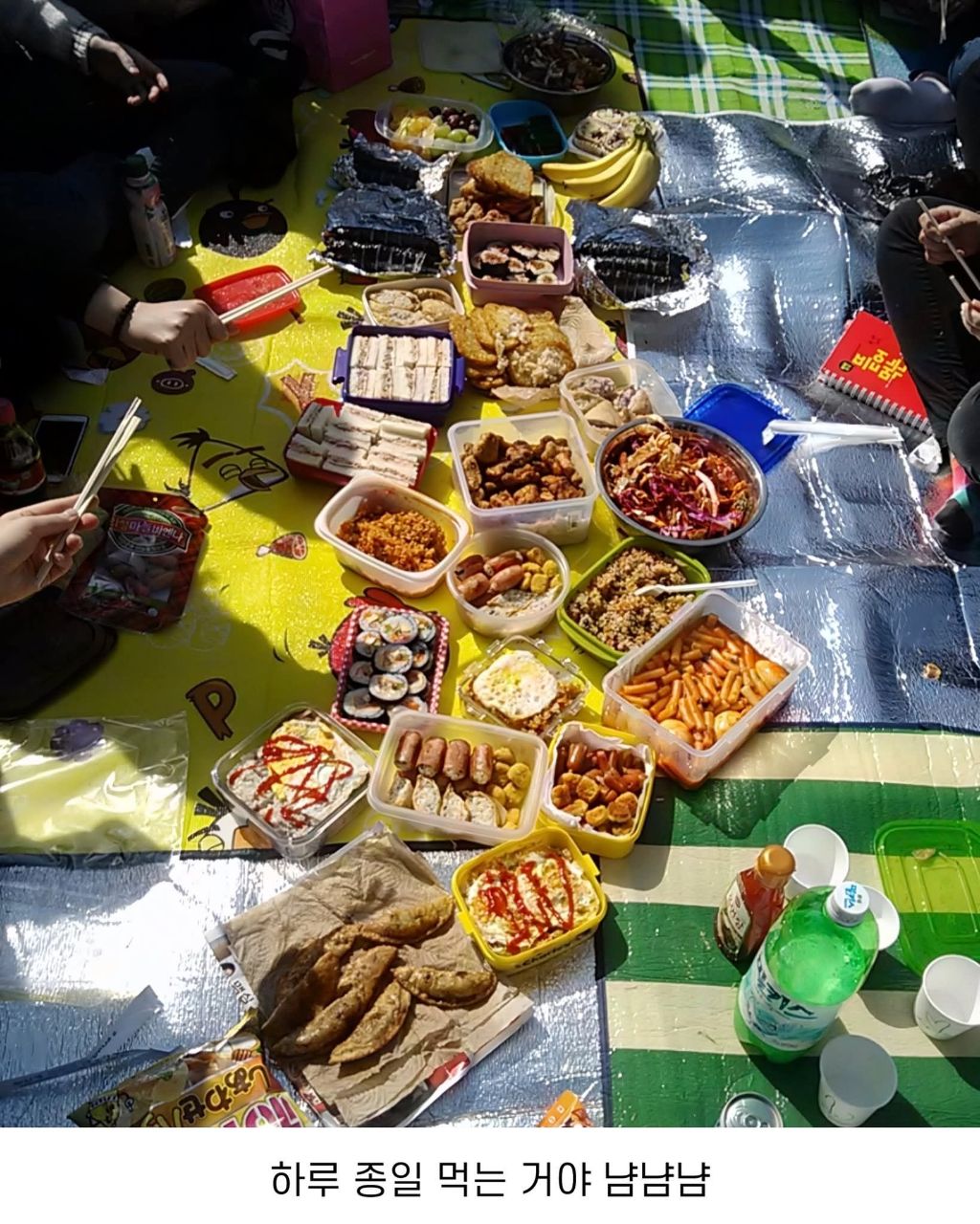 벚꽃놀이 간 여고생들 도시락 | 인스티즈