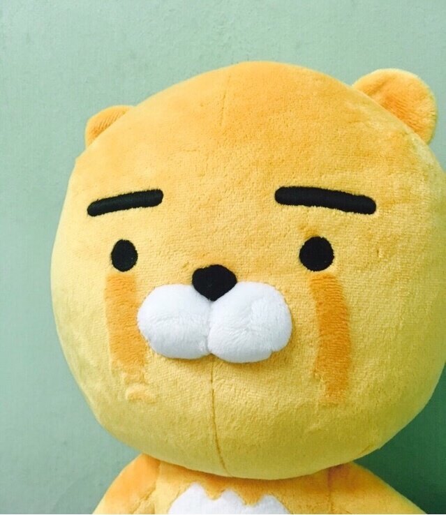 페북에서 돌아다니는 라이언 우는짤... JPG | 인스티즈