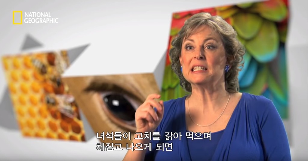 우리가 흔히 먹는 번데기의 삶 | 인스티즈