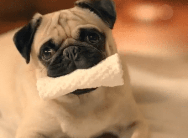 대부업체 광고 레전드 | 인스티즈