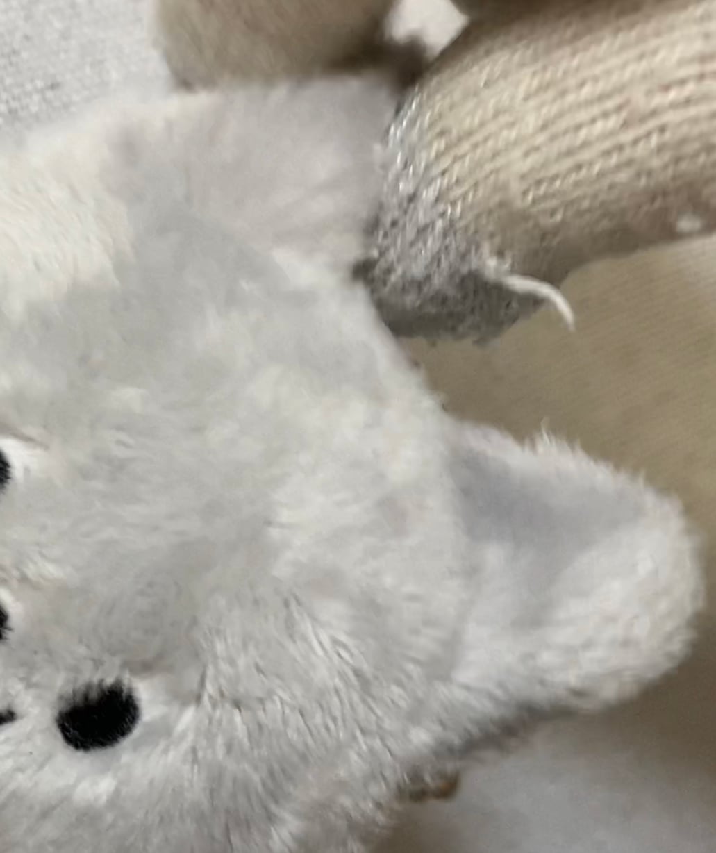소중한 당신의 인형 방치되고 있지 않습니까?🥸 본격 아이돌 인형 기초 미용법 (경락 / 털 자르기 / 빗질) | 인스티즈