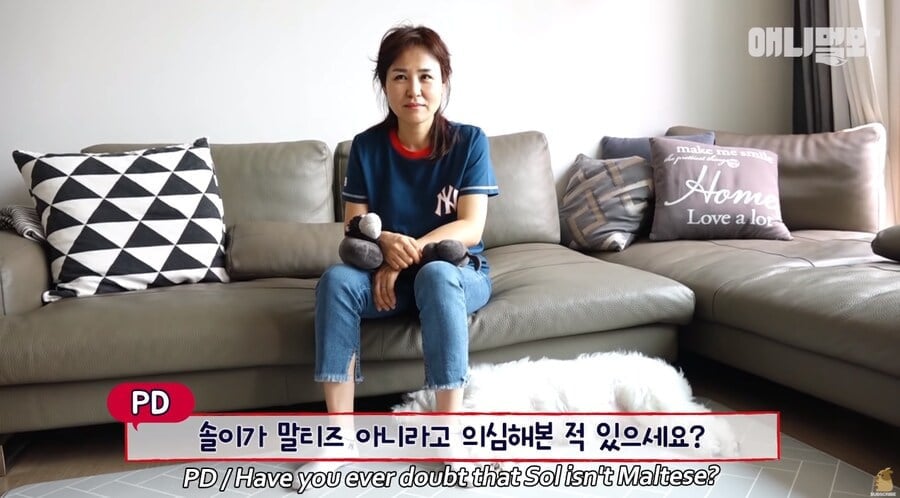 개크니까 개귀여운 말티즈.jpg | 인스티즈