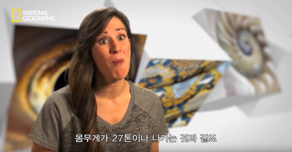 우리가 흔히 먹는 번데기의 삶 | 인스티즈