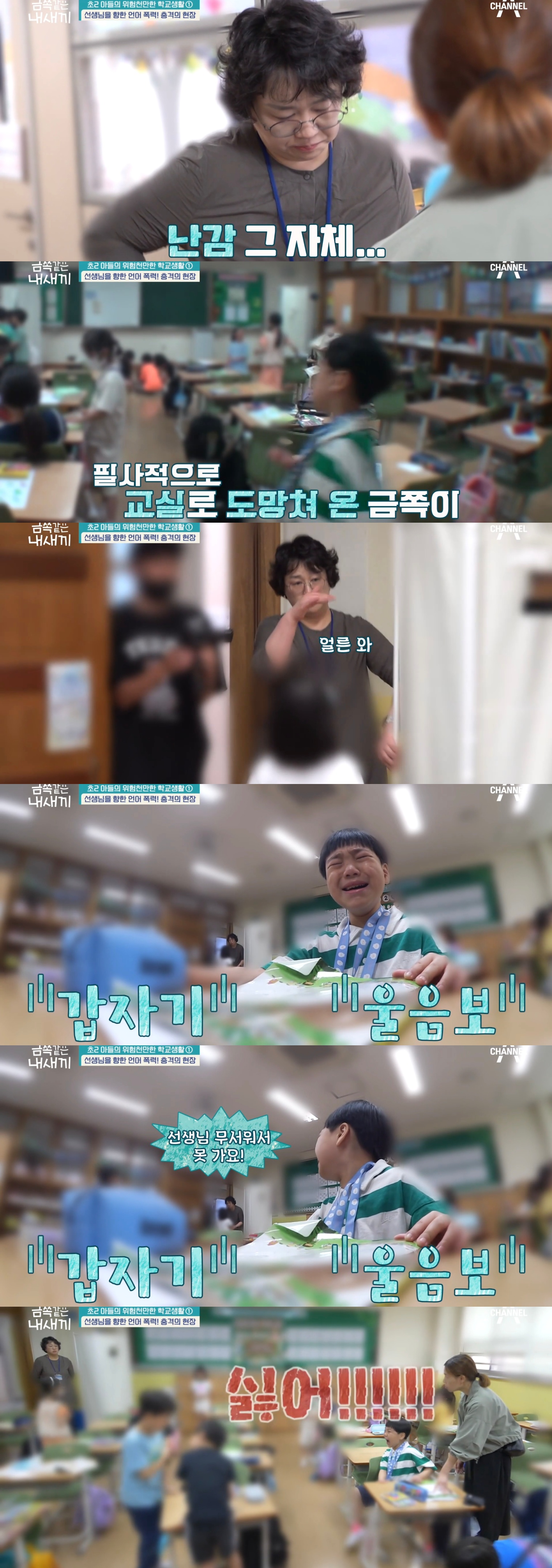 교감선생님까지 힘들어서 눈물흘린 역대급 오늘자 금쪽같은내새끼.jpg | 인스티즈