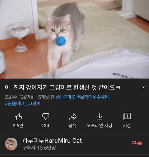 MBTI별 좋아하는 유튜브 재질 | 인스티즈