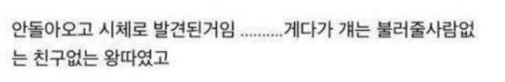 2만원에 친구랑 정신 나간 내기 한 썰.jpg | 인스티즈