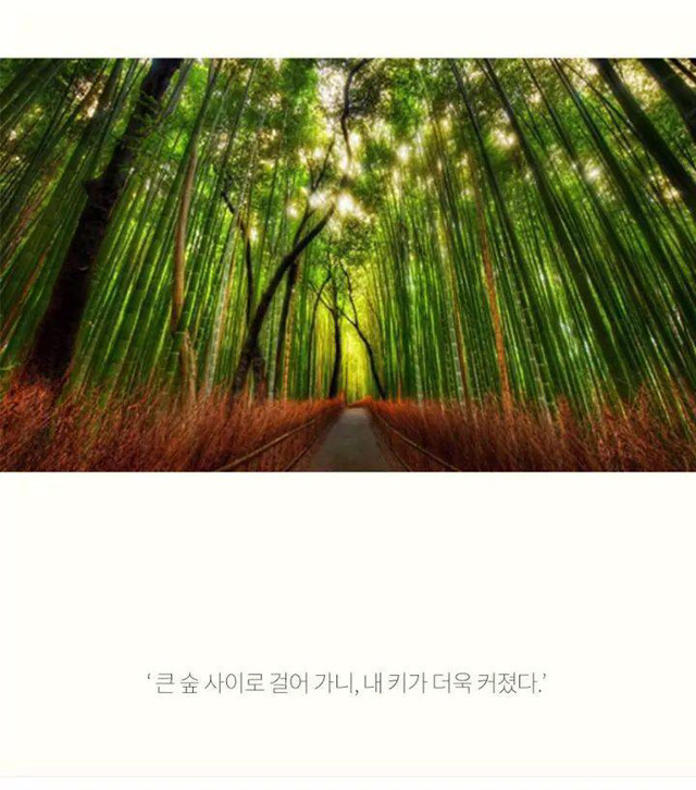 코이의 법칙 | 인스티즈