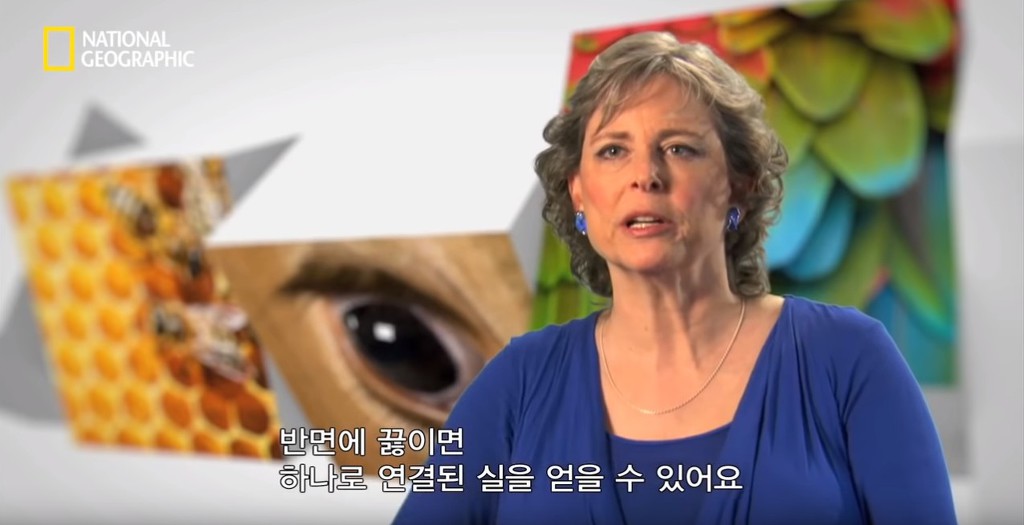 우리가 흔히 먹는 번데기의 삶 | 인스티즈