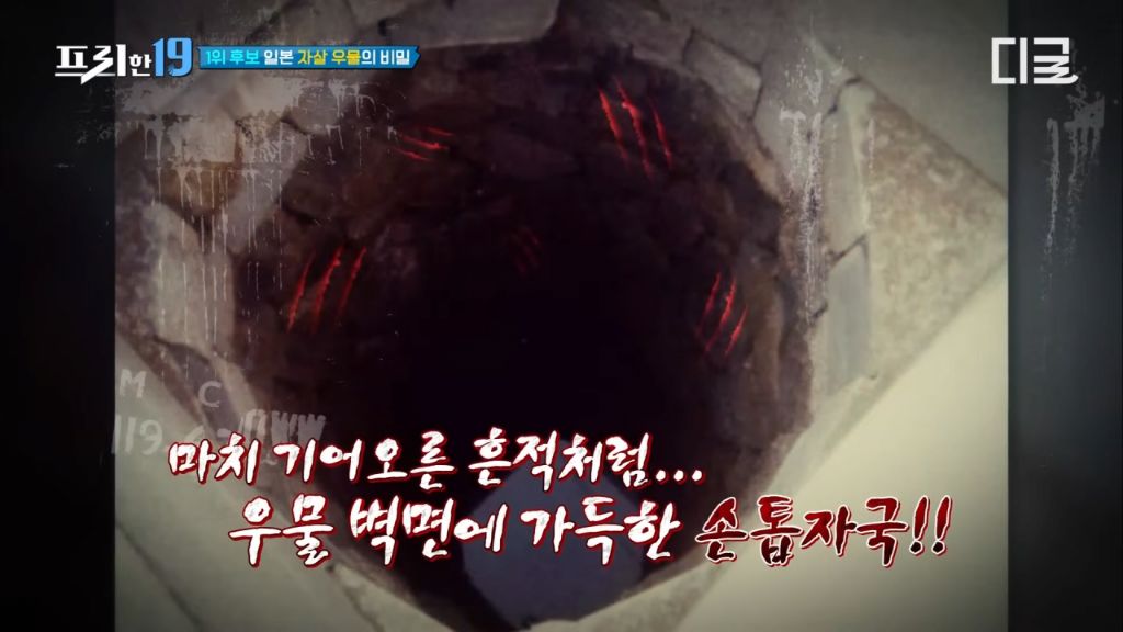 개그맨 김현기씨가 겪은 일본의 자살 우물 촬영 | 인스티즈