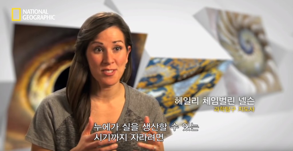 우리가 흔히 먹는 번데기의 삶 | 인스티즈