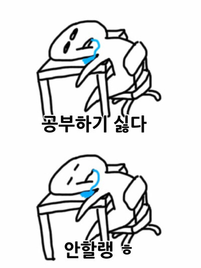 1년이상 시험만 파는 수험생들 장수생들 공감 ^_ㅠ | 인스티즈